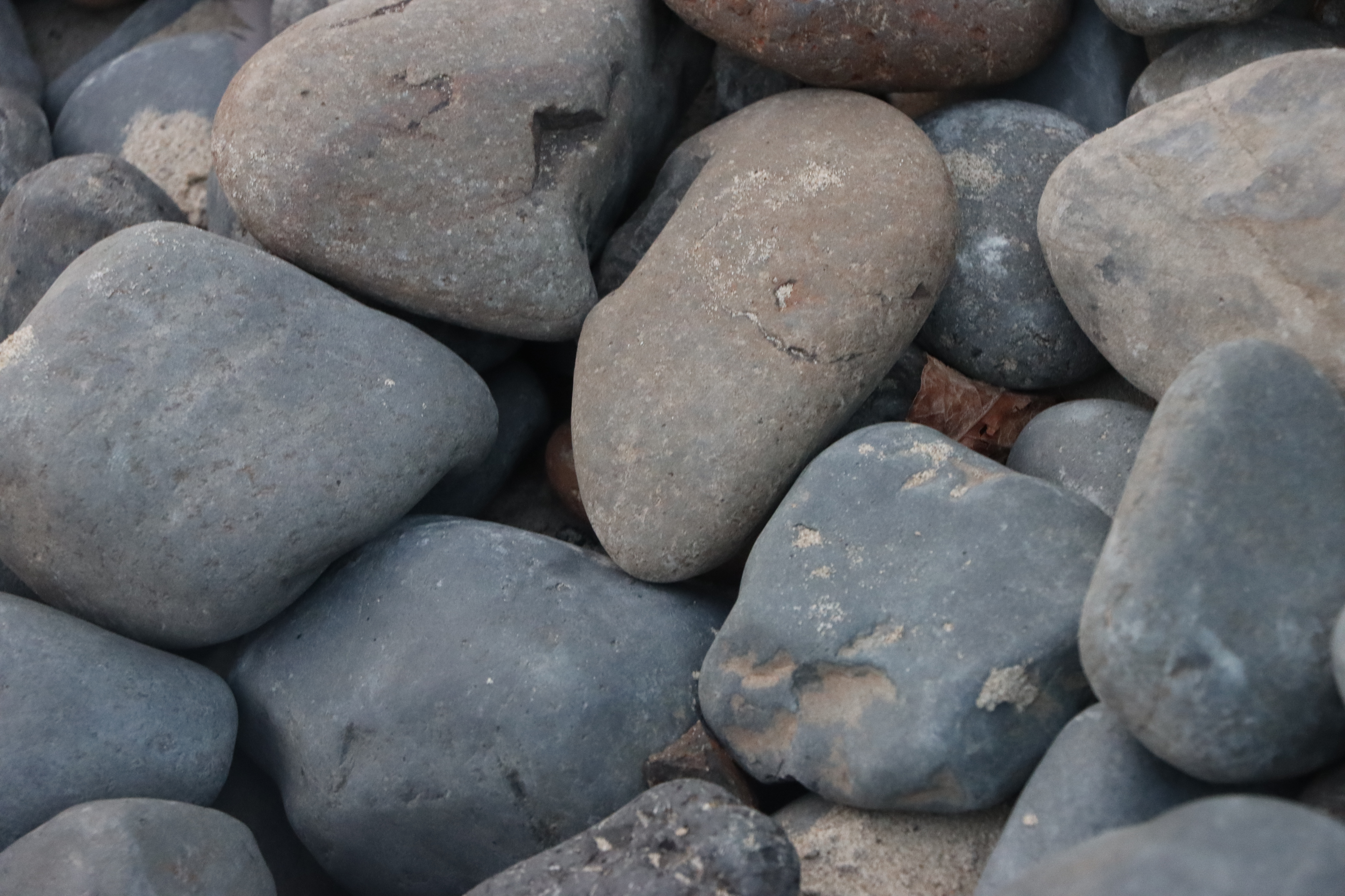 rocks